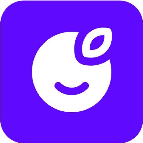 Plum logo